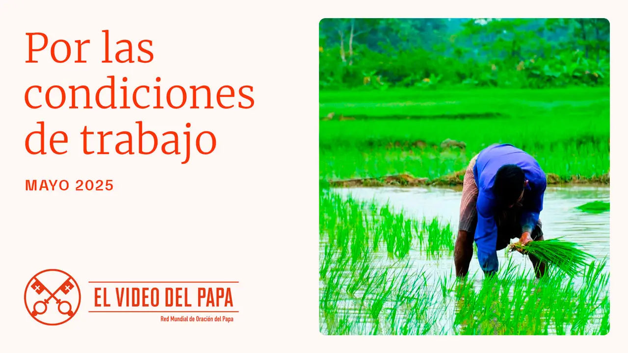 El Video del Papa: Por las condiciones de trabajo (mayo 2025)