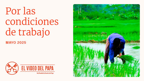 El Video del Papa: Por las condiciones de trabajo (mayo 2025)