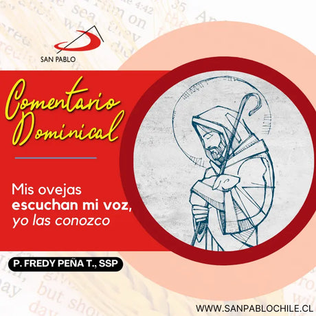 Mis ovejas escuchan mi voz, yo las conozco