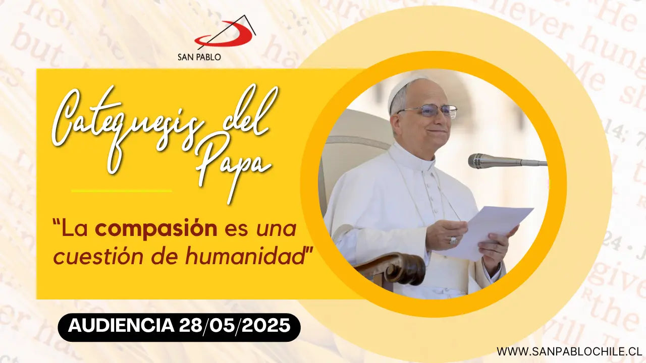Catequesis del Papa: “La compasión es una cuestión de humanidad”