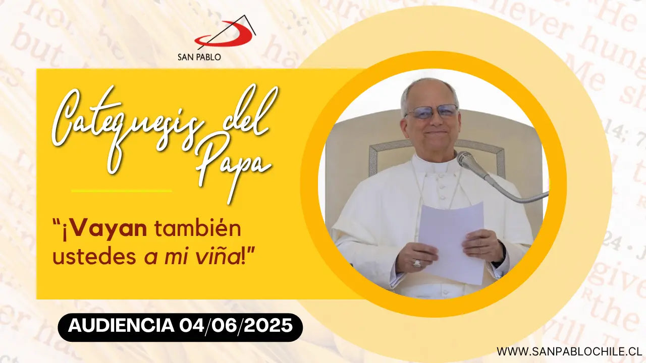 Catequesis del Papa: “¡Vayan también ustedes a mi viña!”
