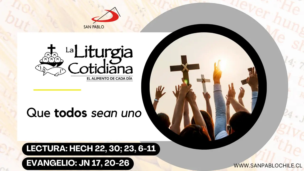 5 de junio: San Bonifacio, o. y mr. (MO). Blanco o Rojo.