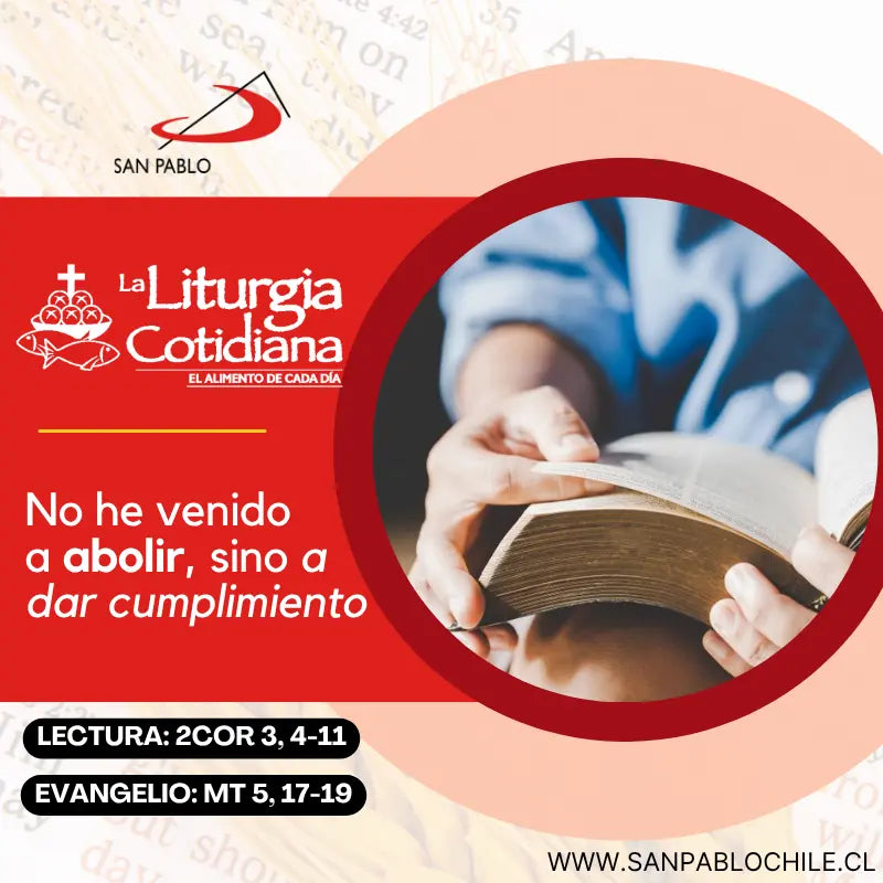 11 de junio: San Bernabé, ap. (MO). Rojo.