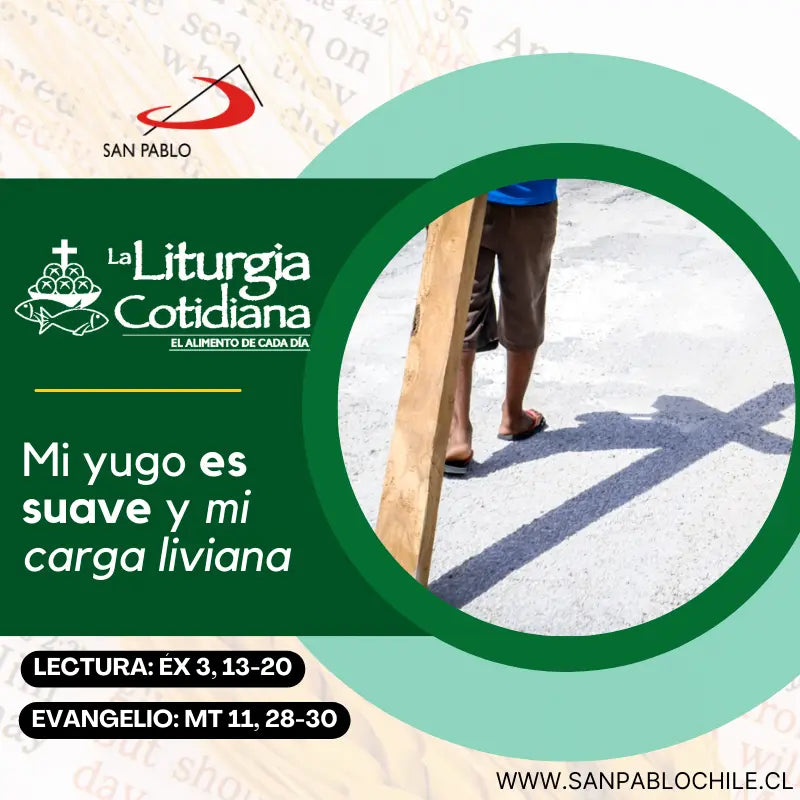 17 de julio: De la feria. Verde.