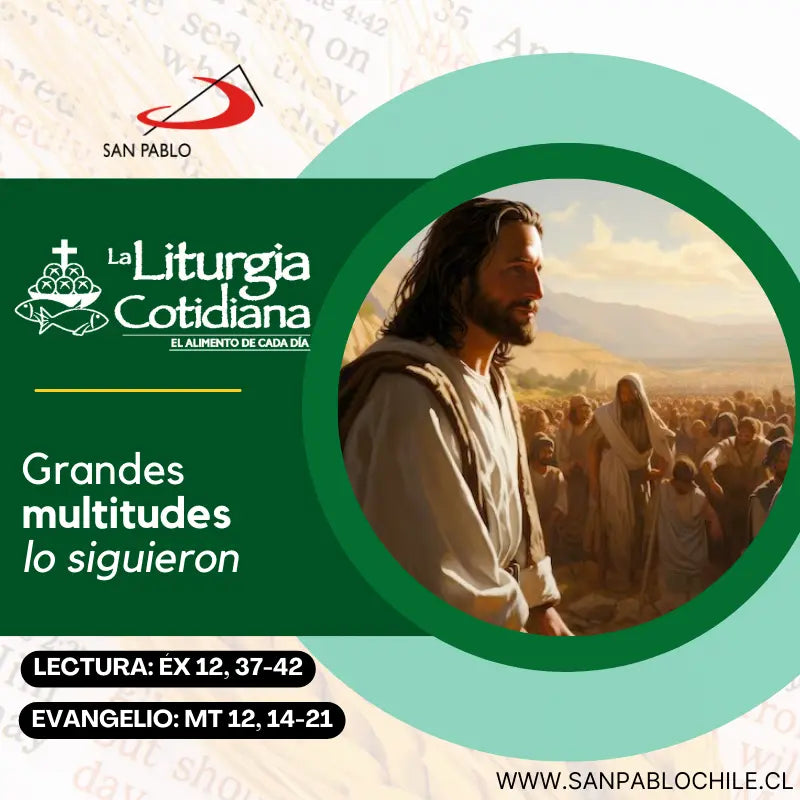 19 de julio: De la feria. Verde.