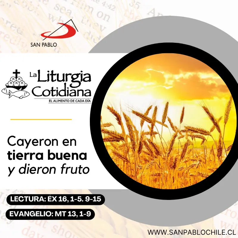 23 de julio: De la feria. Verde. Santa Brígida, r. (ML). Blanco.