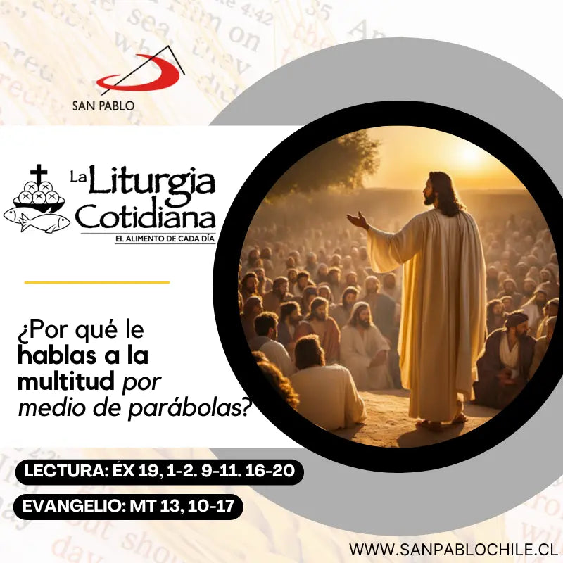 24 de julio: De la feria. Verde. San Charbel Makhlüf, p. (ML). Blanco.