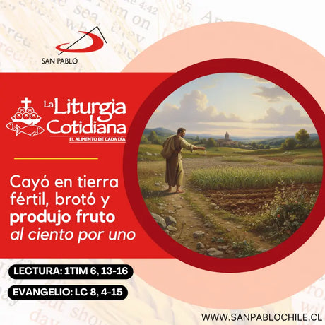 20 de septiembre: Santos Andrés Kim Taegon, p., Pablo Chong Hasang y comps., mrs. (MO). Blanco o Rojo.