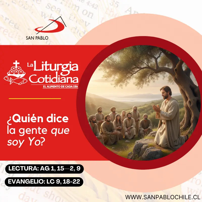 26 de septiembre: De la feria. Verde. Santos Cosme y Damián, mrs. (ML). Rojo.