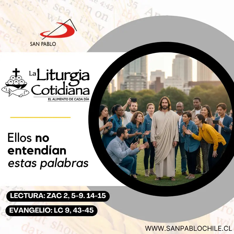 27 de septiembre: San Vicente de Paúl, p. (MO). Blanco.