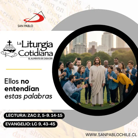 27 de septiembre: San Vicente de Paúl, p. (MO). Blanco.