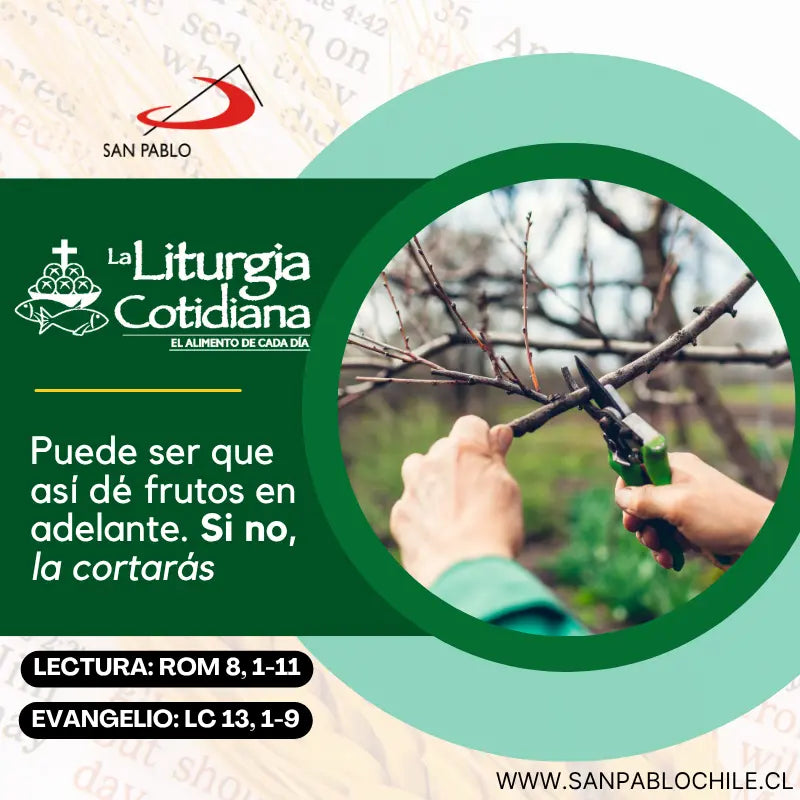 25 de octubre: De la feria. Verde.