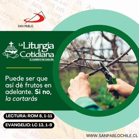 25 de octubre: De la feria. Verde.