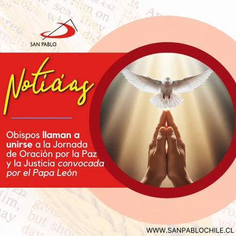 Obispos llaman a unirse a la Jornada de Oración por la Paz y la Justicia convocada por el Papa León XIV