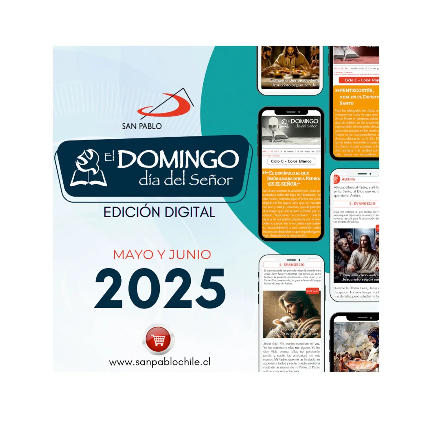 El Domingo EDICIÓN DIGITAL: MAYO/JUNIO 2025
