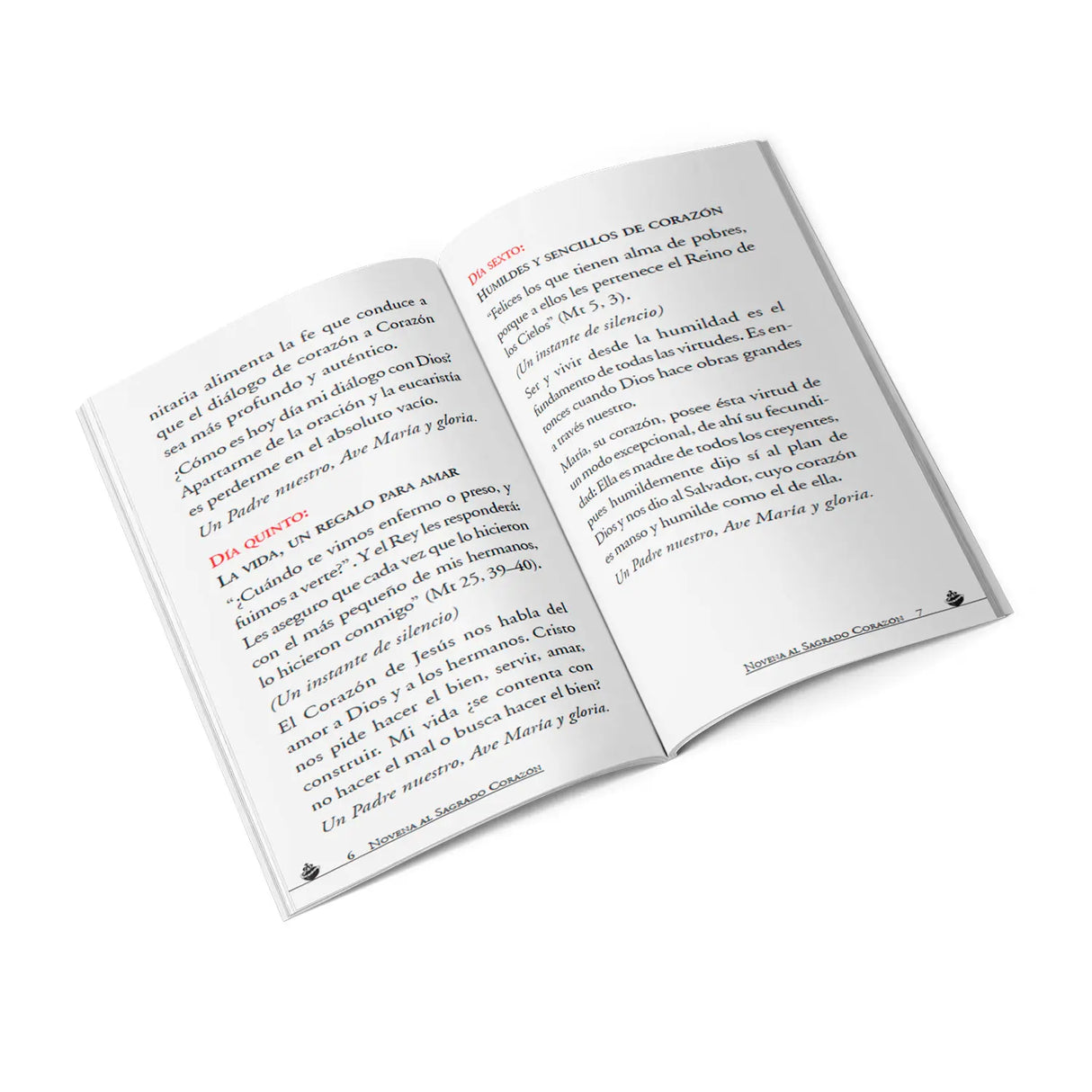 Novena al Sagrado Corazón