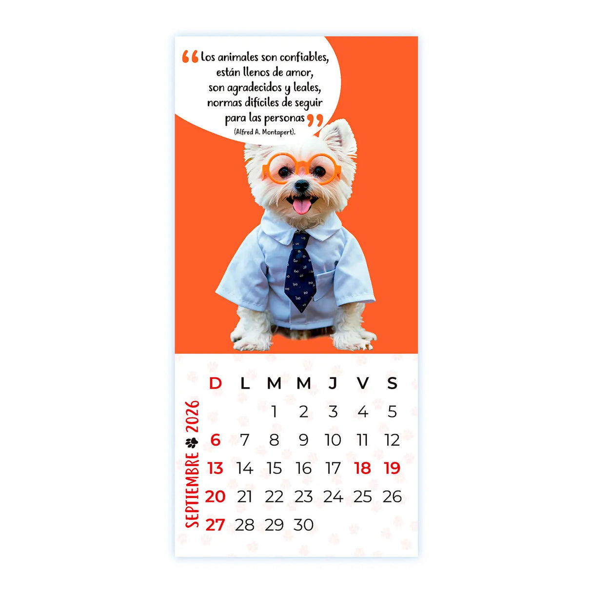Calendario Mascotas 2026