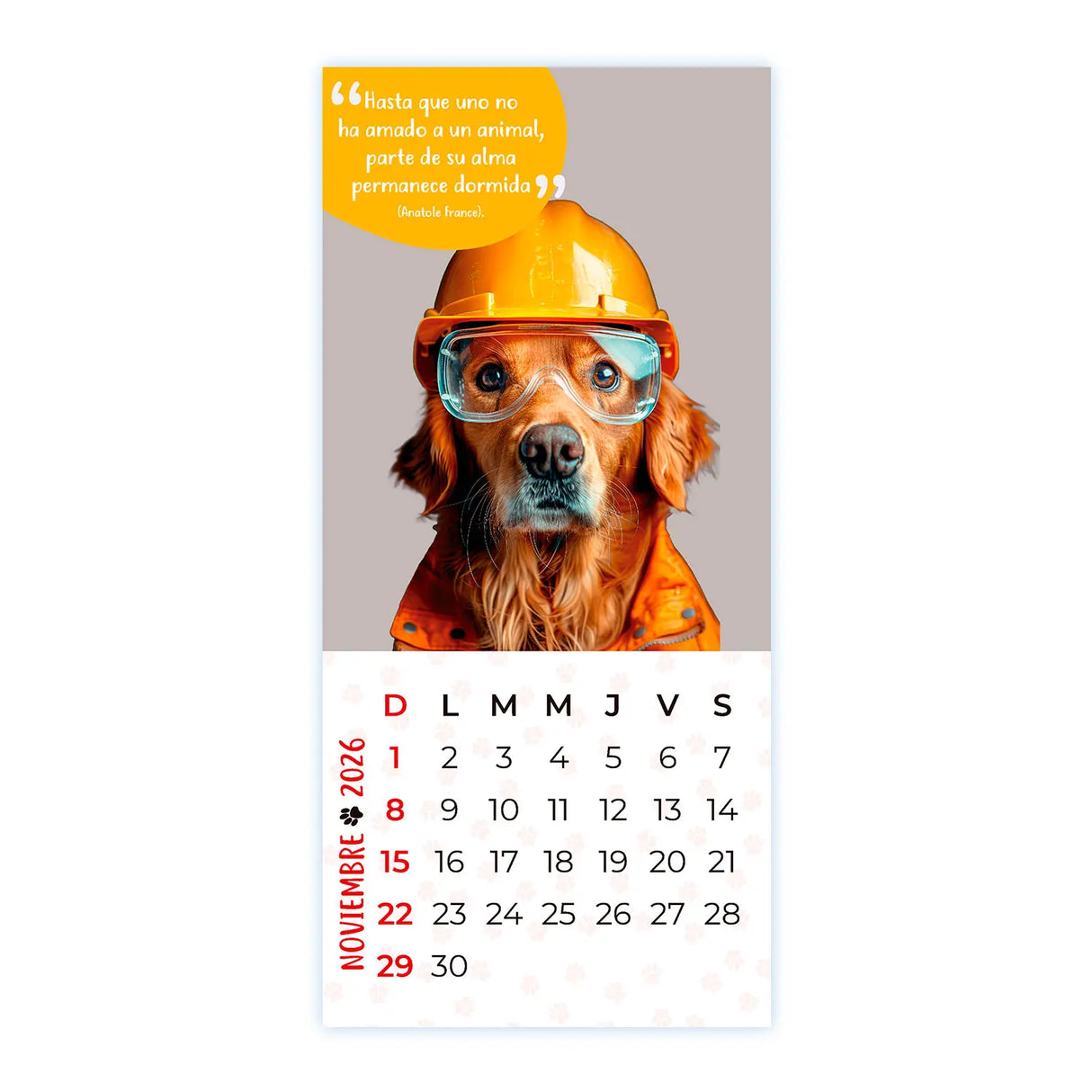 Calendario Mascotas 2026