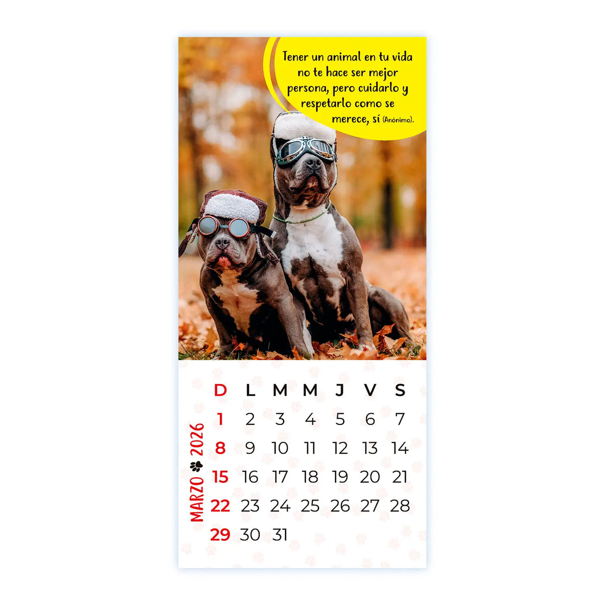 Calendario Mascotas 2026