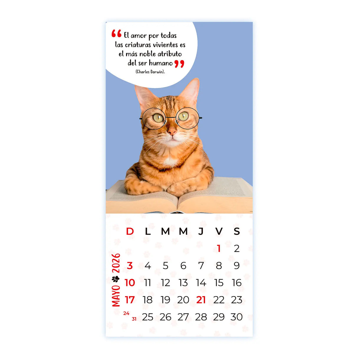 Calendario Mascotas 2026