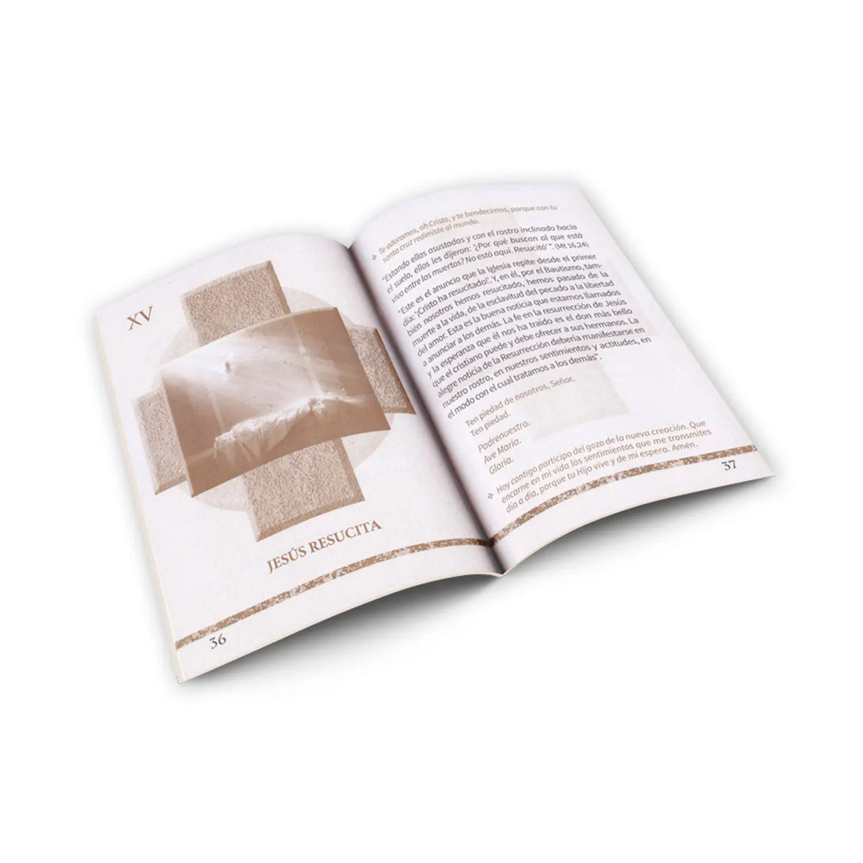 Vía Crucis – con reflexiones del Papa Francisco