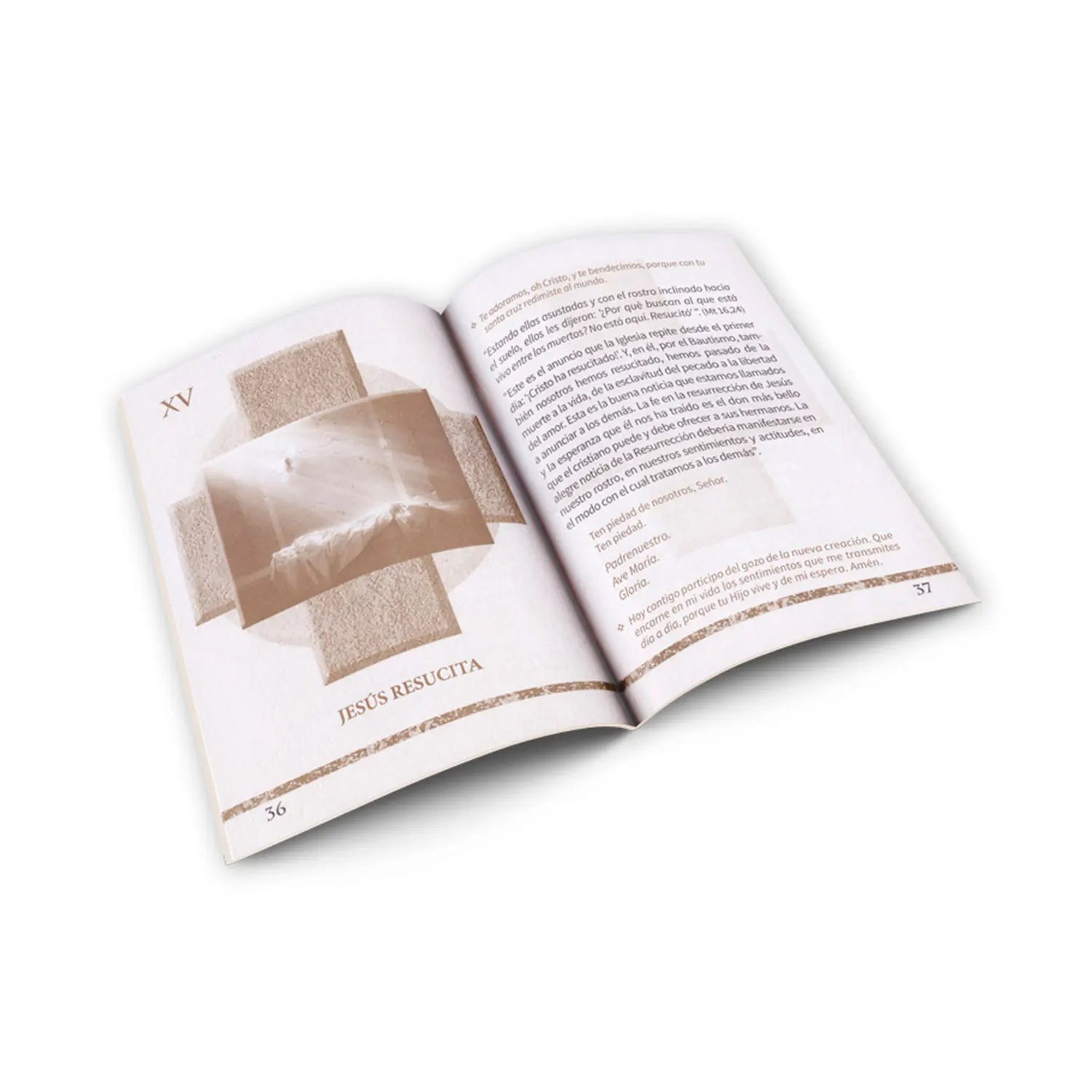 Vía Crucis – con reflexiones del Papa Francisco