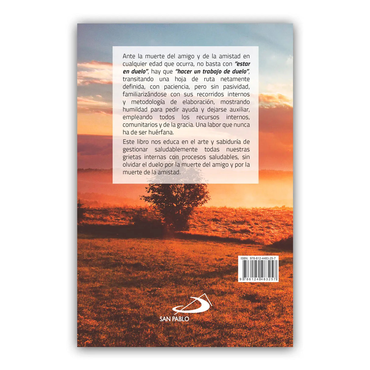 Mourning the Death of a Friend and Friendship