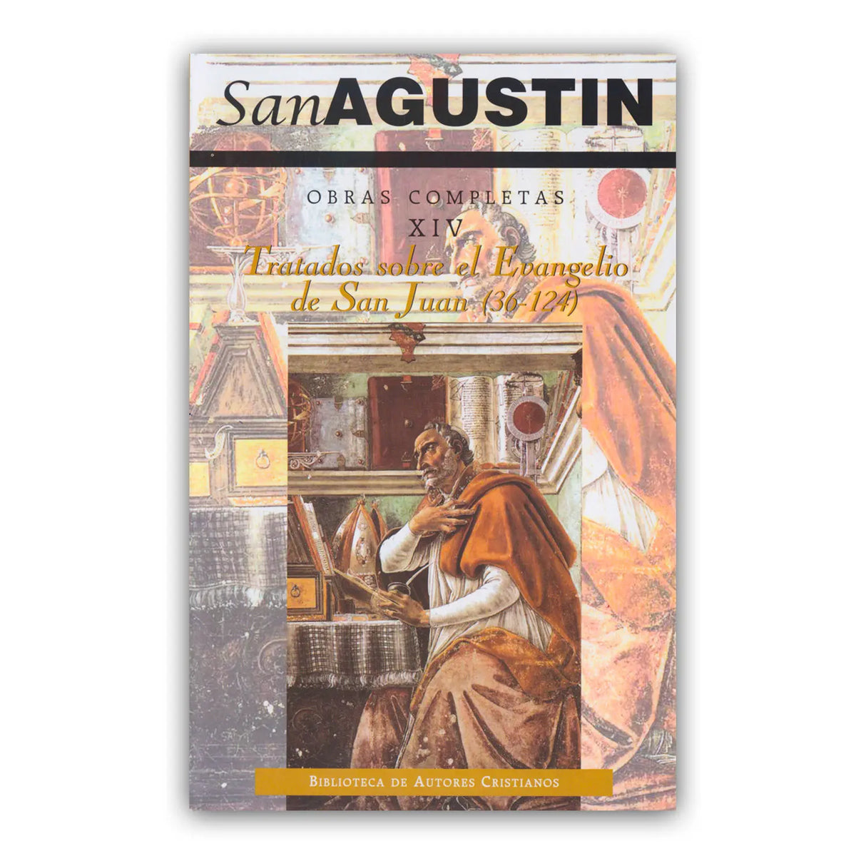 San Agustín Obras Completas XIV