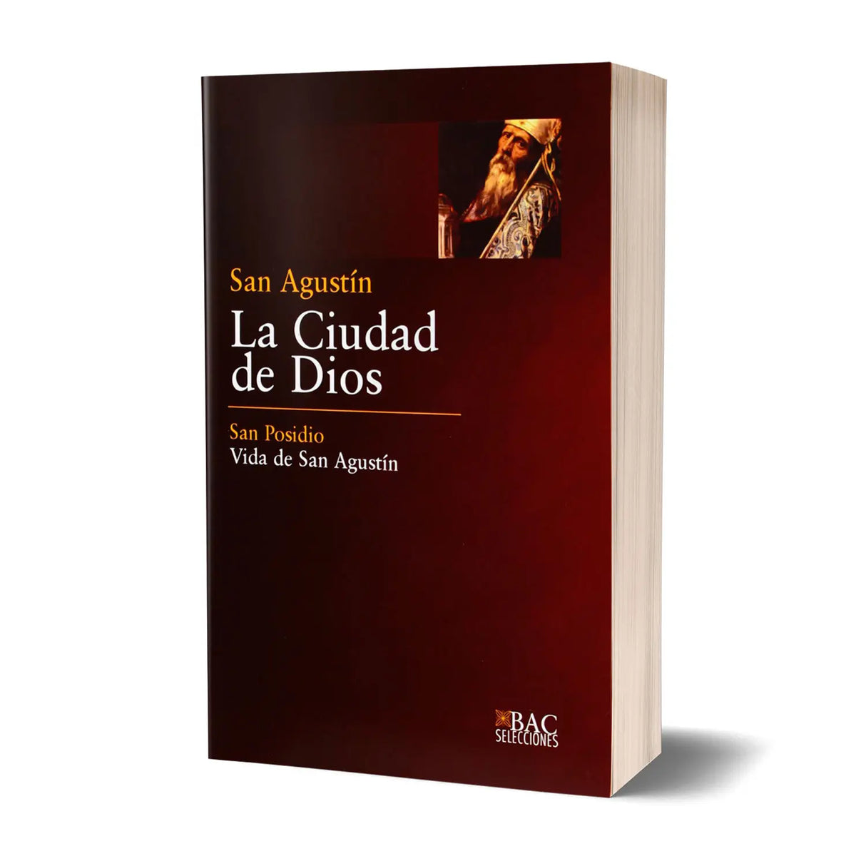 The City of God, by SAINT AUGUSTINE. Life of Saint Augustine