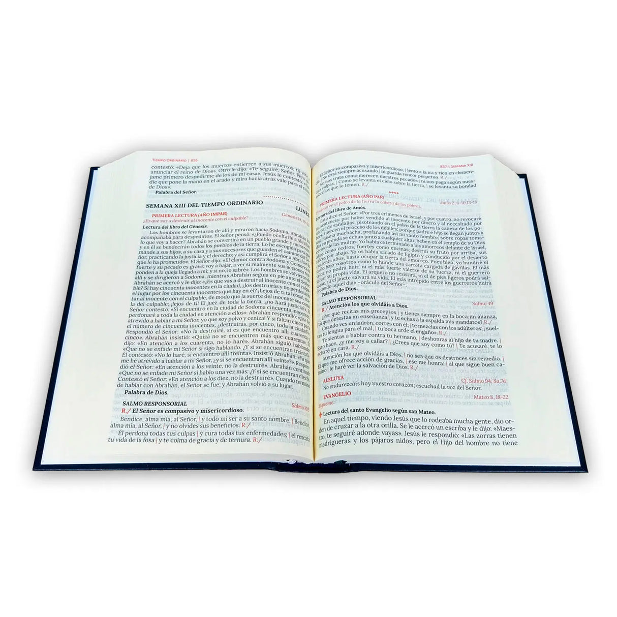 Nuevo Misal y Leccionario del Vaticano II