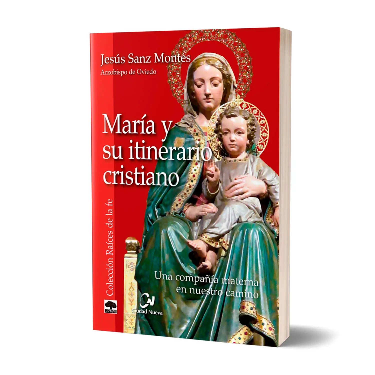 Mary and her Christian journey, a maternal companion on our journey
