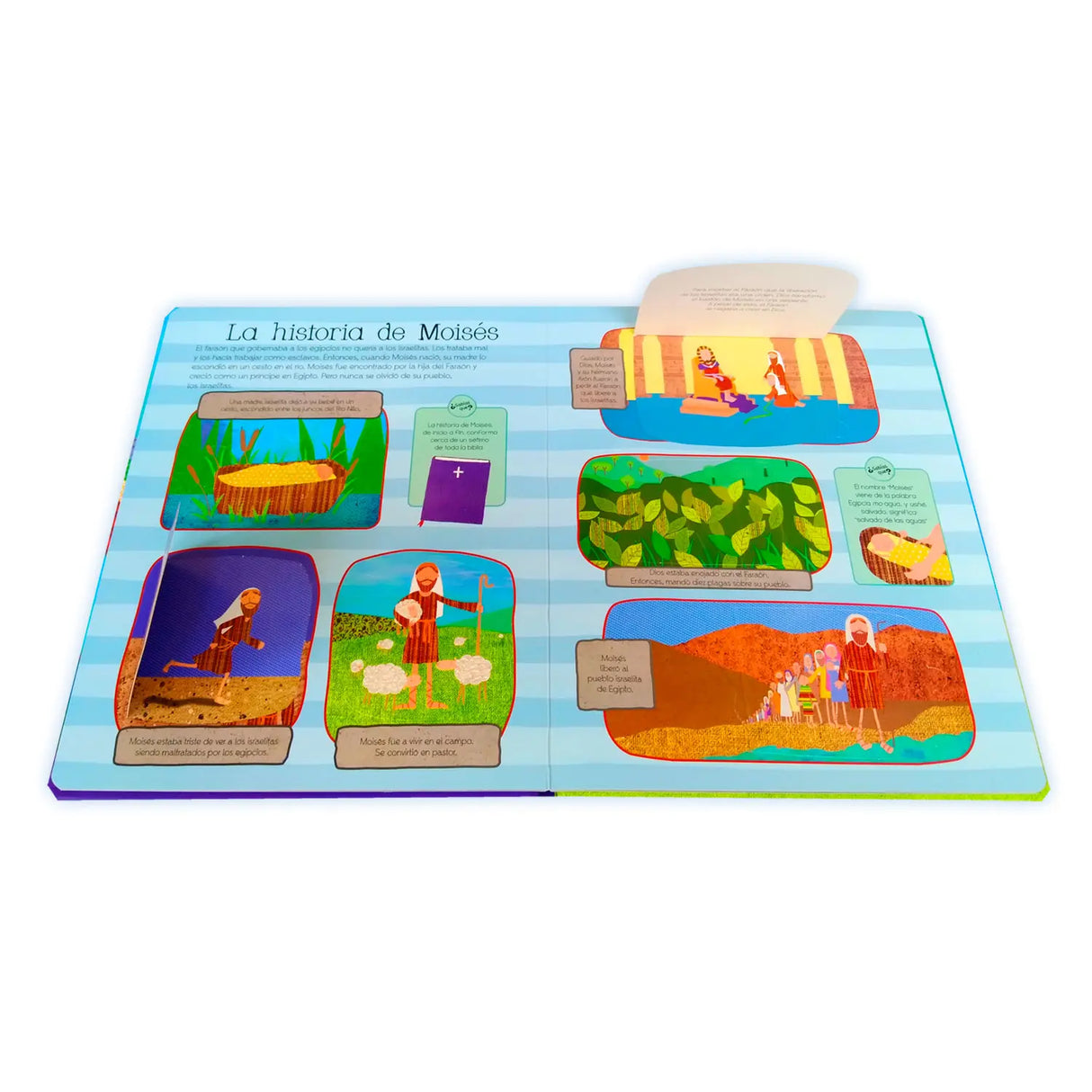 Historias Bíblicas - levanta la tapa