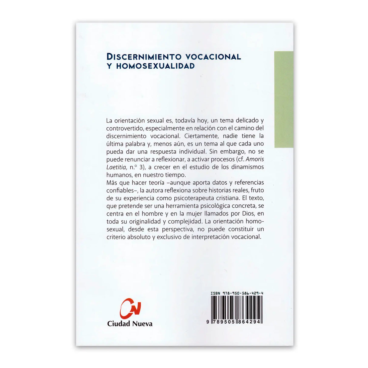 Discernimiento vocacional y homosexualidad