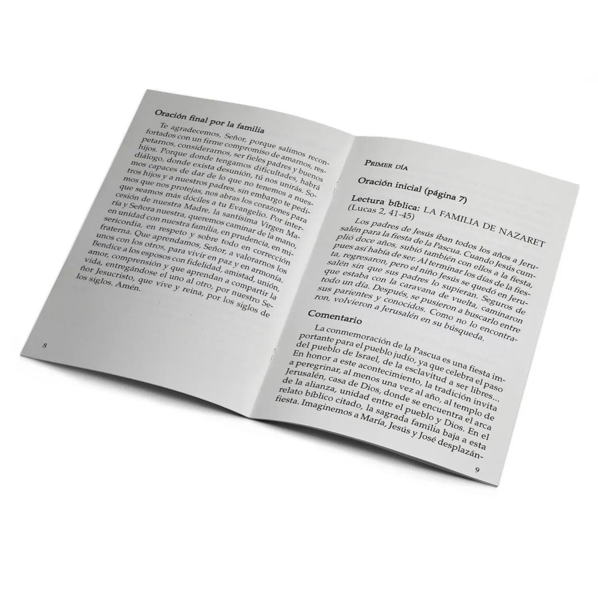 Novena de las Familias