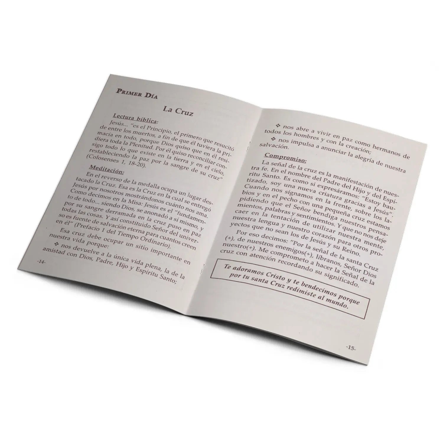 Novena to the Miraculous Medal