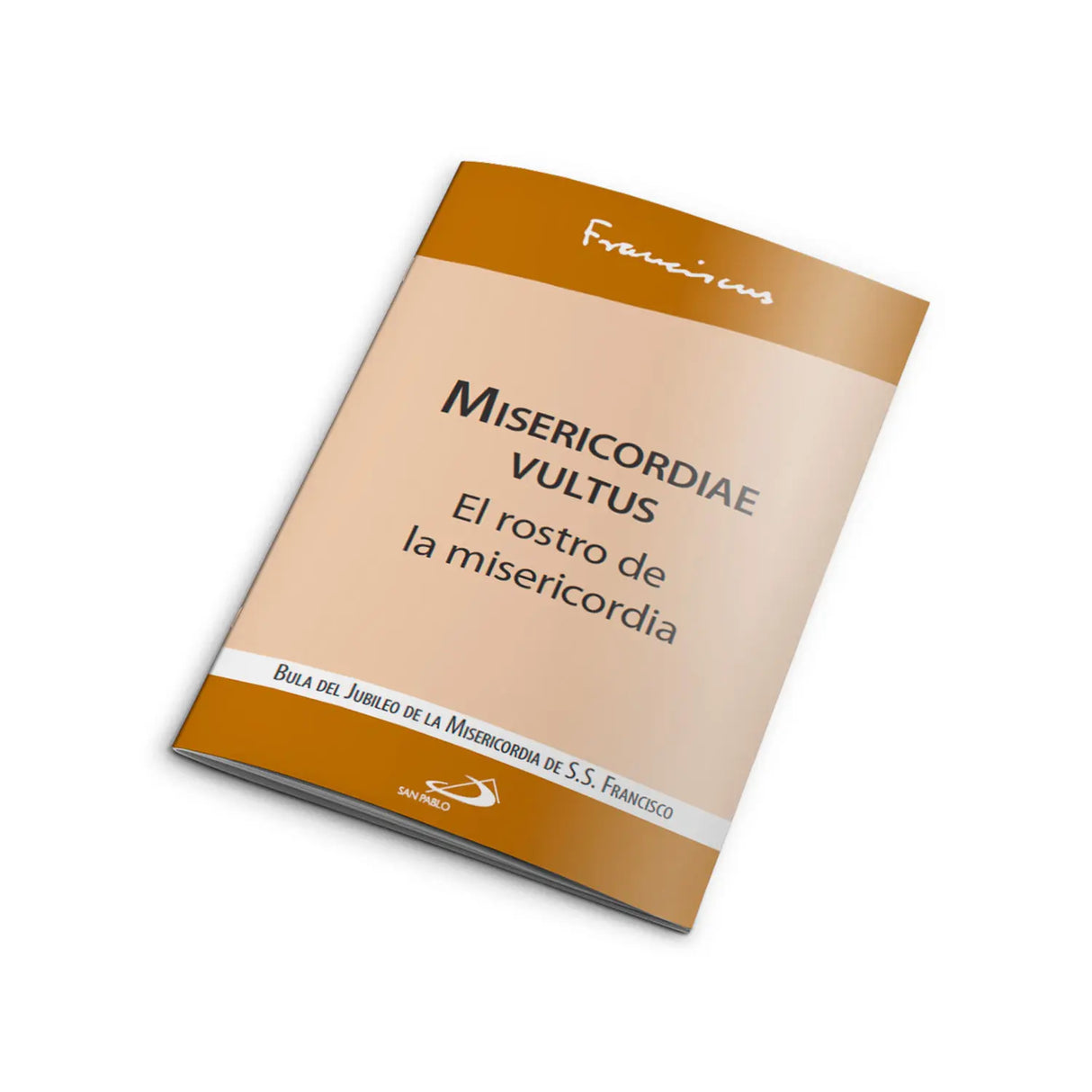 Misericordiae Vultus: the face of mercy