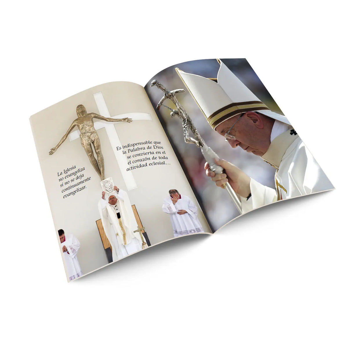 Lo miro con misericordia y lo eligió