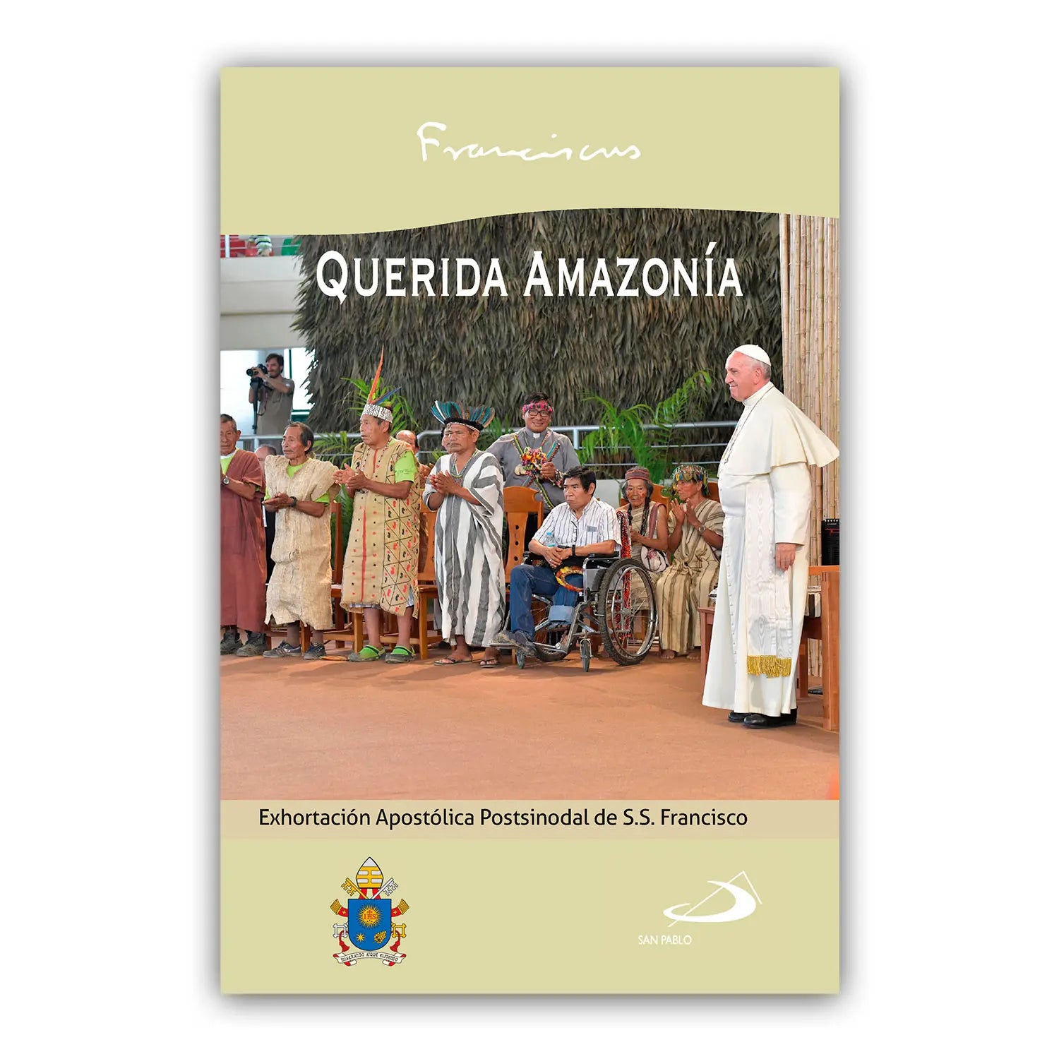 Querida Amazonía Exhortación Postsinodal