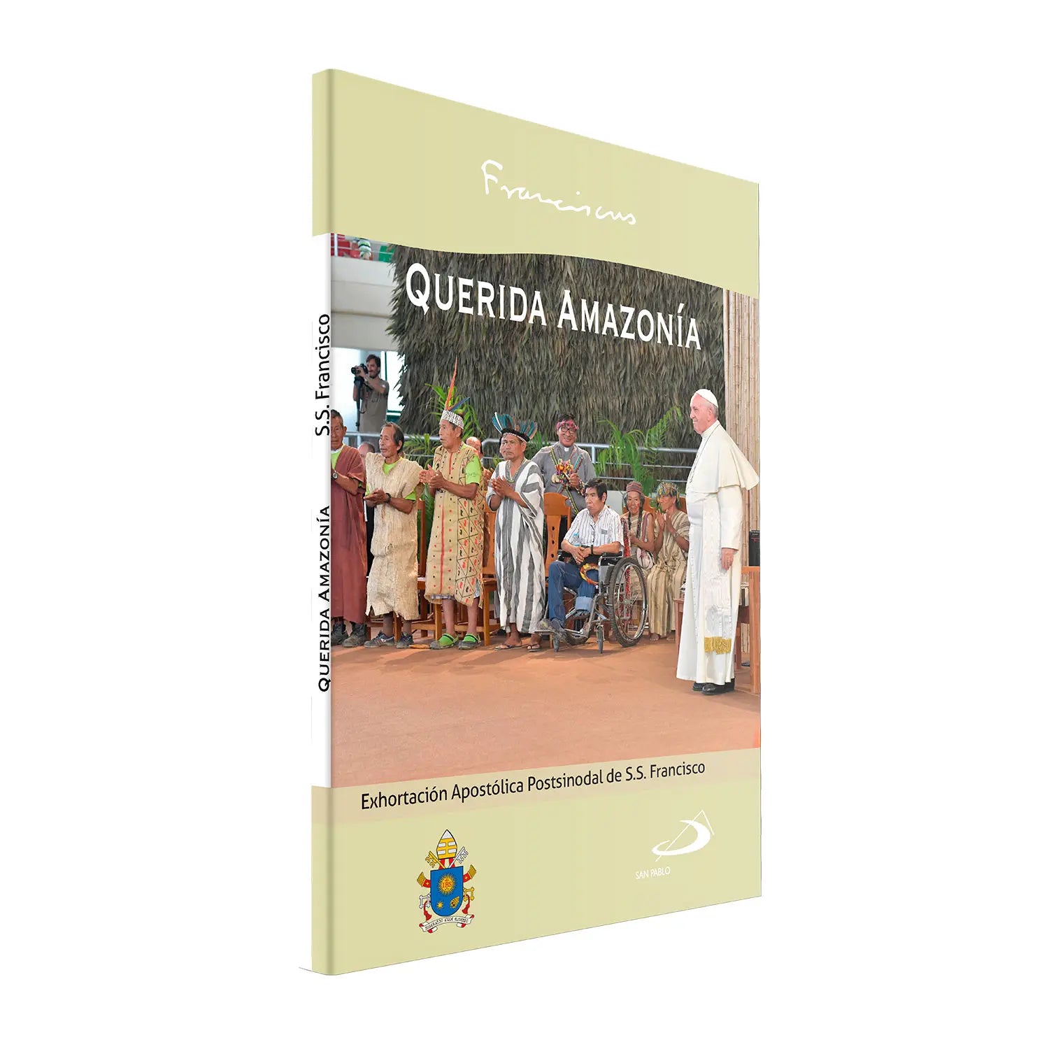 Querida Amazonía Exhortación Postsinodal