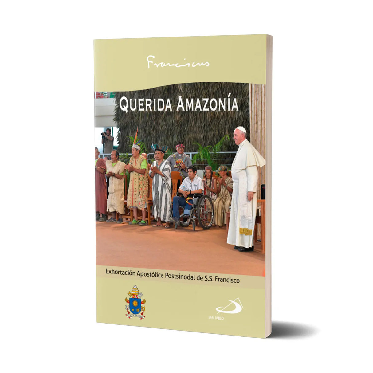 Querida Amazonía Exhortación Postsinodal