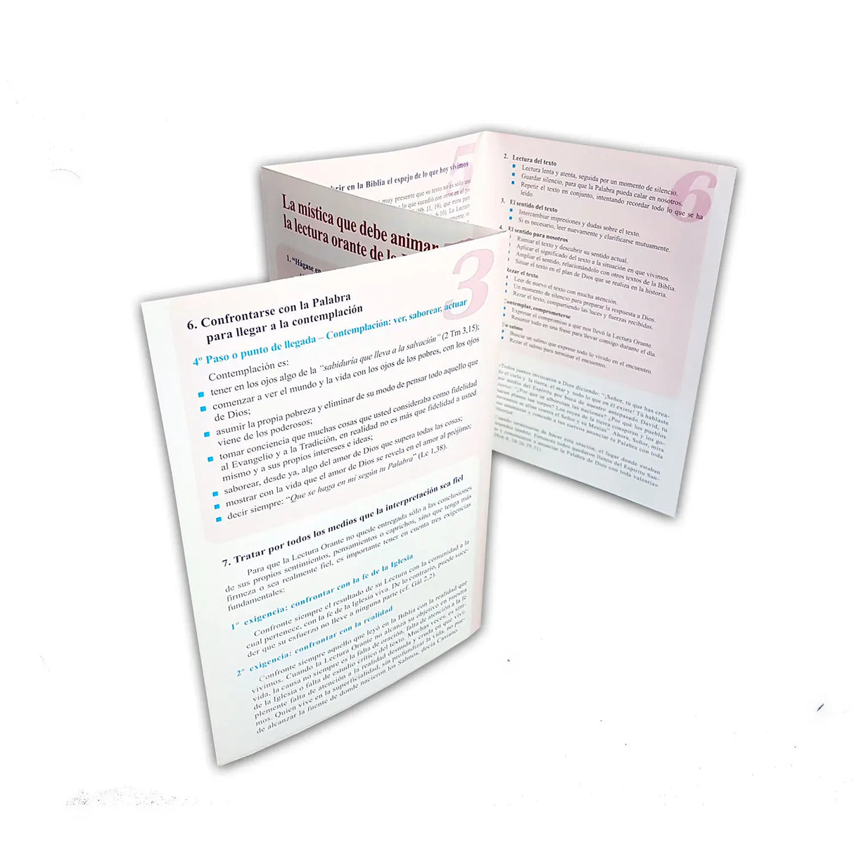 Prayerful Bible Reading – Fold-Out Booklet