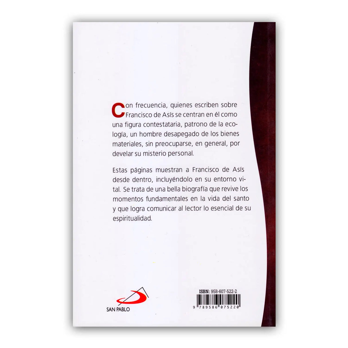 The Brother of Assisi