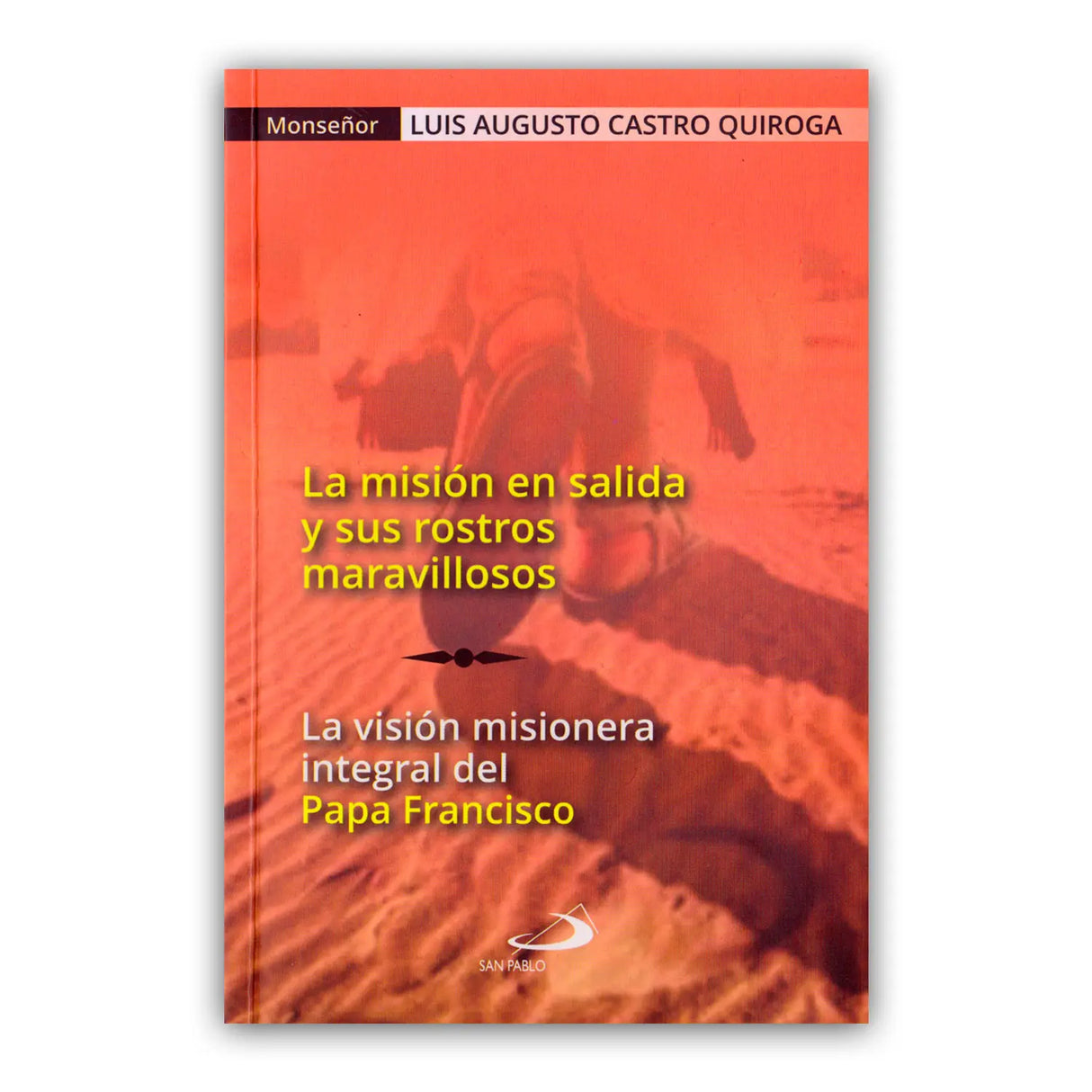 La misión en salida y sus rostros maravillosos