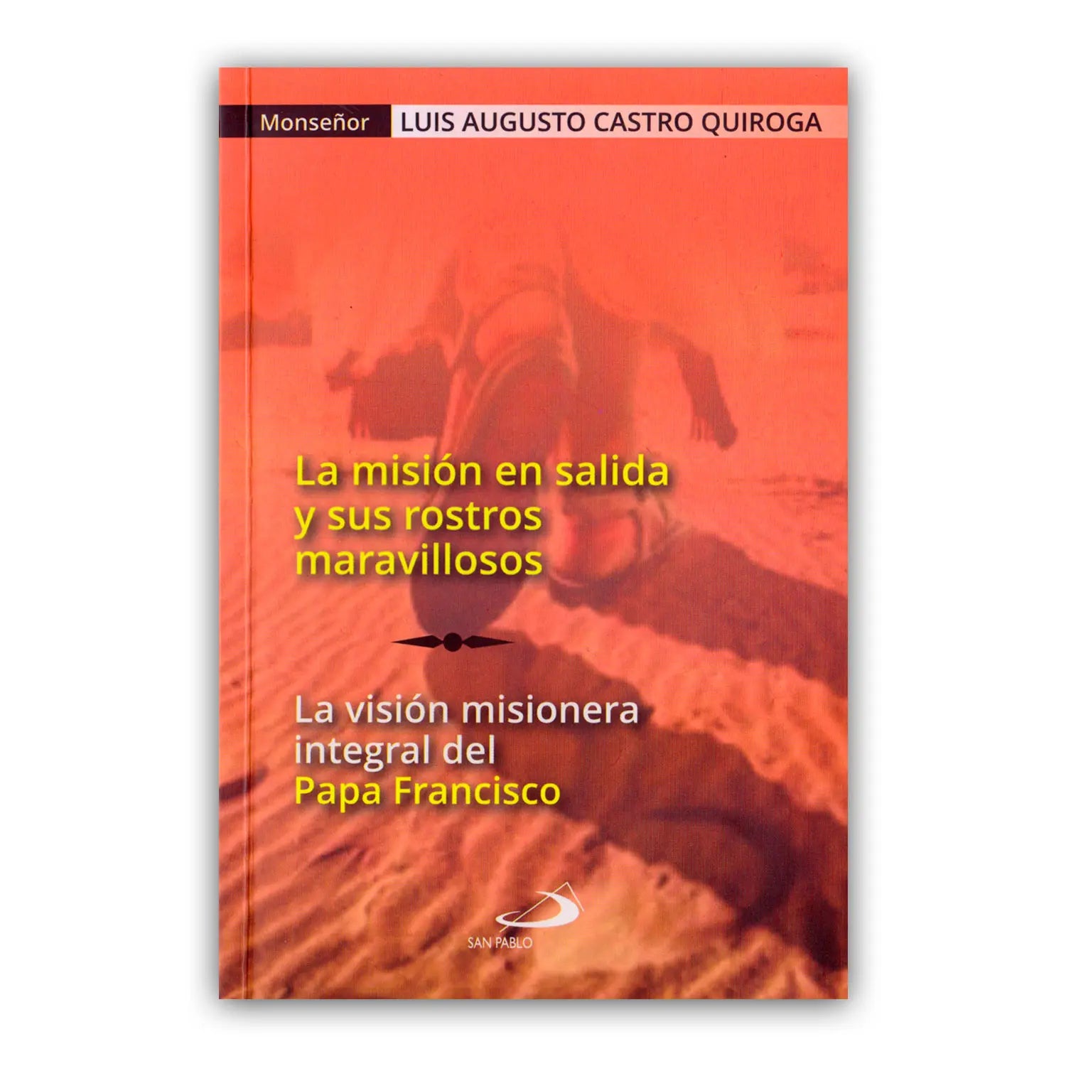 La misión en salida y sus rostros maravillosos