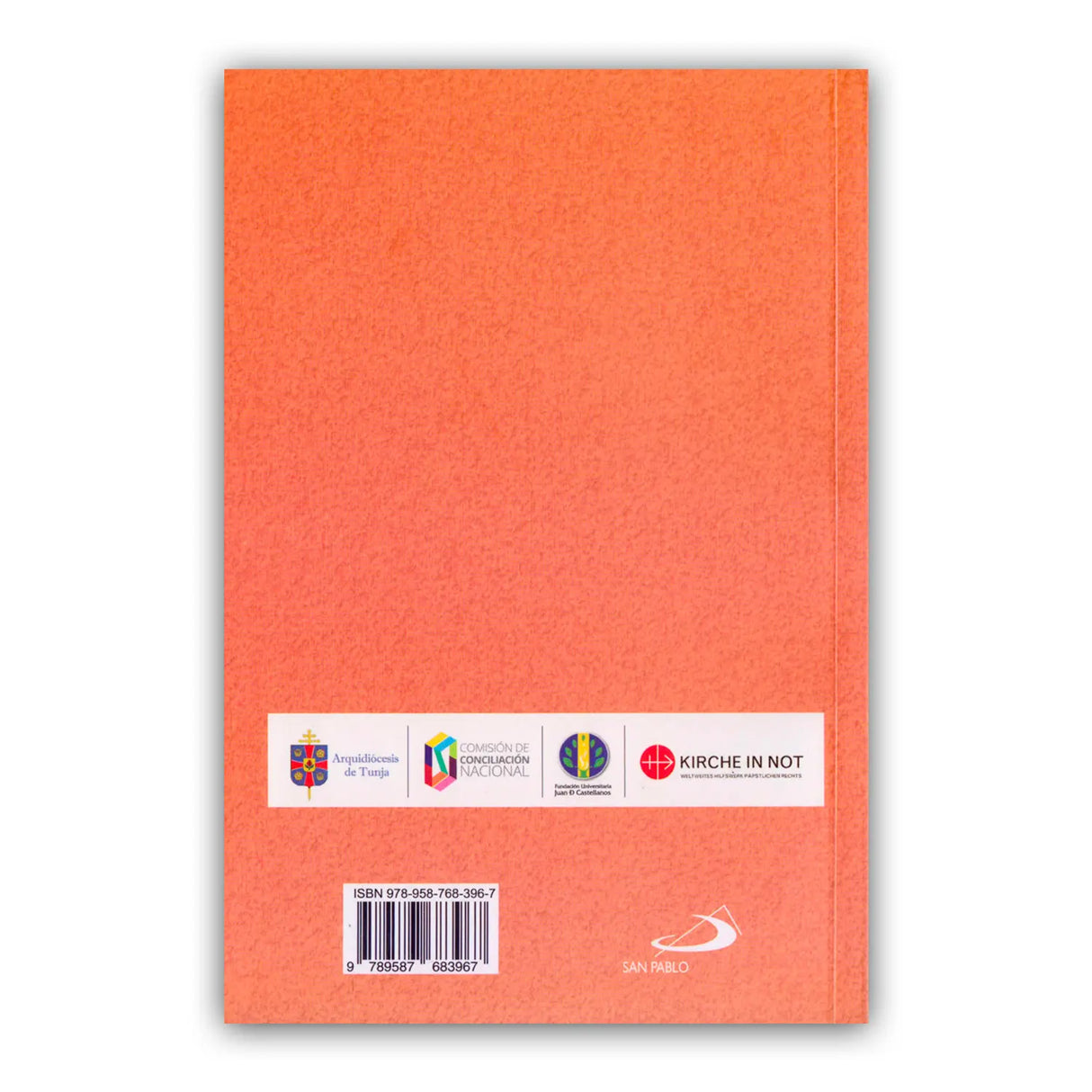 La misión en salida y sus rostros maravillosos