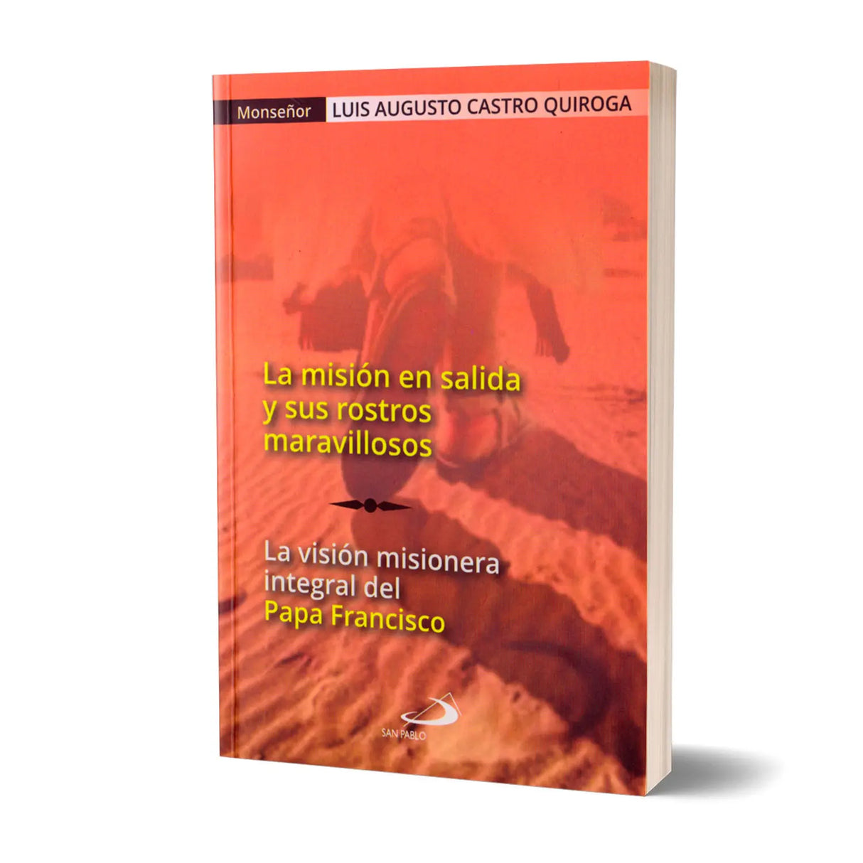 La misión en salida y sus rostros maravillosos