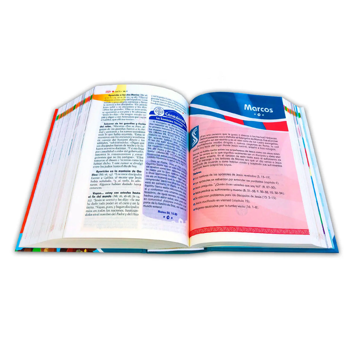 The Teaching Bible for Young People – Hardcover