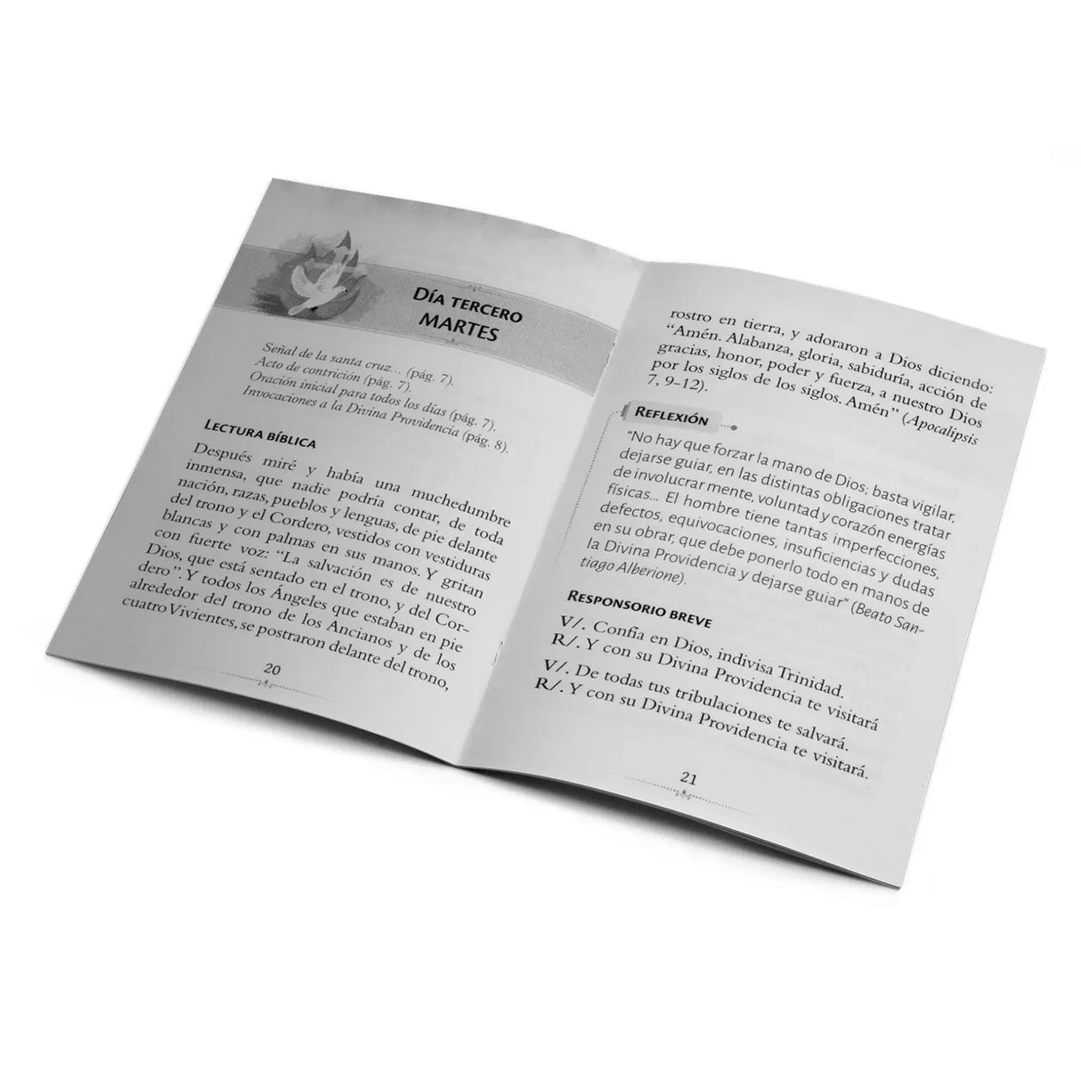 7 días con La Divina Providencia