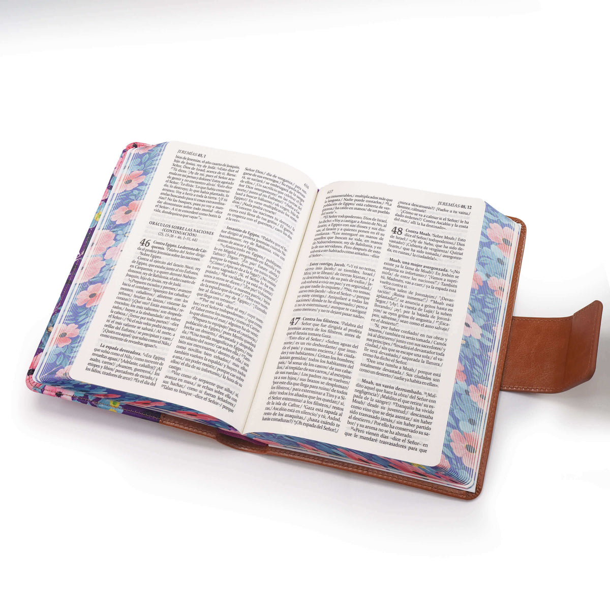 La Sagrada Biblias de América canto Floral