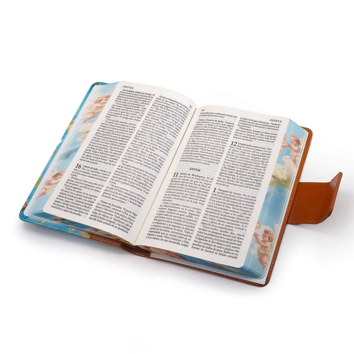 La Sagrada Biblia de América canto Ángeles